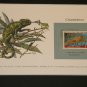 Matted Print and Stamp - Chameleon - World Wildlife Fund
