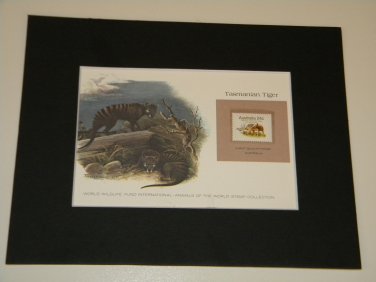 Matted Print and Stamp - Tasmanian Tiger - World Wildlife Fund