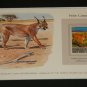 Matted Print and Stamp - Felis Caracal - World Wildlife Fund