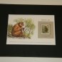 Matted Print and Stamp - Barbary Ape - World Wildlife Fund
