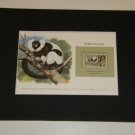 Matted Print and Stamp - Ruffed Lemur - World Wildlife Fund