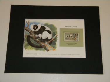 Matted Print and Stamp - Ruffed Lemur - World Wildlife Fund