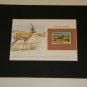 Matted Print and Stamp - Goitered Gazelle - World Wildlife Fund