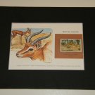 Matted Print and Stamp - Dorcas Gazelle - World Wildlife Fund