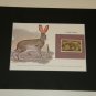 Matted Print and Stamp - Cape Hare - World Wildlife Fund
