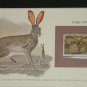 Matted Print and Stamp - Cape Hare - World Wildlife Fund