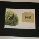 Matted Print and Stamp - Common Duiker - World Wildlife Fund