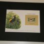 Matted Print and Stamp - Common Duiker - World Wildlife Fund