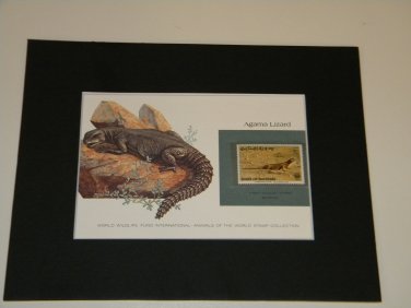 Matted Print and Stamp - Agama Lizard - World Wildlife Fund