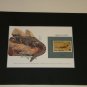 Matted Print and Stamp - Agama Lizard - World Wildlife Fund