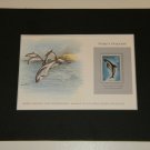 Matted Print and Stamp -peale's Porpoise - World Wildlife Fund