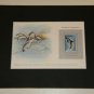 Matted Print and Stamp -peale's Porpoise - World Wildlife Fund