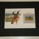 Matted Print and Stamp - Hartebeest - World Wildlife Fund