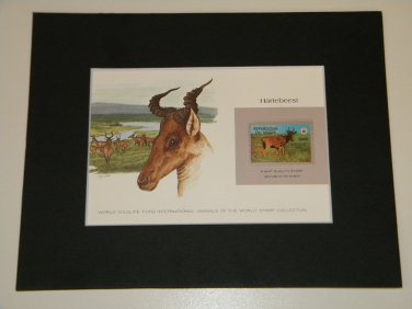 Matted Print and Stamp - Hartebeest - World Wildlife Fund