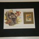 Matted Print and Stamp - Eurasian Flying Squirrel - World Wildlife Fund