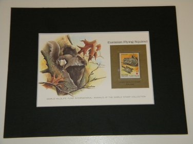 Matted Print and Stamp - Eurasian Flying Squirrel - World Wildlife Fund