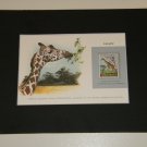 Matted Print and Stamp - Giraffe- World Wildlife Fund