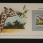 Matted Print and Stamp - Giraffe- World Wildlife Fund
