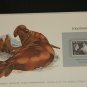 Matted Print and Stamp - Elephant Seal - World Wildlife Fund