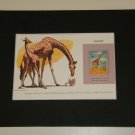 Matted Print and Stamp - Giraffe - World Wildlife Fund