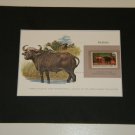 Matted Print and Stamp - Buffalo - World Wildlife Fund