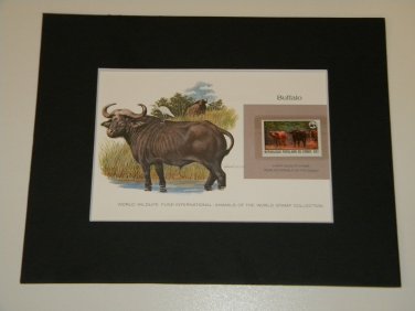 Matted Print and Stamp - Buffalo - World Wildlife Fund