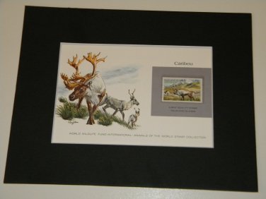 Matted Print and Stamp - Caribou - World Wildlife Fund