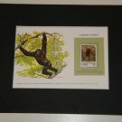 Matted Print and Stamp - Chimpanzee - World Wildlife Fund
