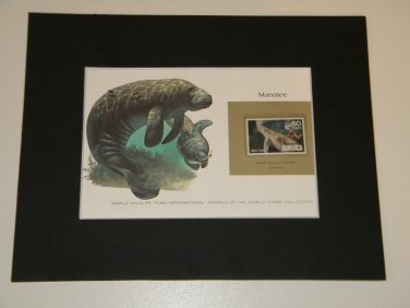 Matted Print and Stamp - Manatee - World Wildlife Fund