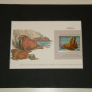 Matted Print and Stamp - Walrus - World Wildlife Fund