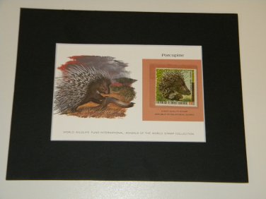Matted Print and Stamp - Porcupine - World Wildlife Fund