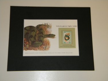 Matted Print and Stamp - Velvety- Green Night Adder - World Wildlife Fund