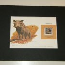 Matted Print and Stamp - Warthog - World Wildlife Fund