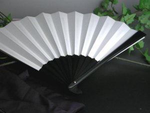 Fans of iron (sense) #350