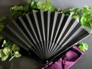 Fans of iron (sense) #353