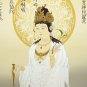 Hanging scrolls,  Kannon evil dragon white coat on consumption (small)  #p7104