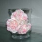 Decorative  Holders