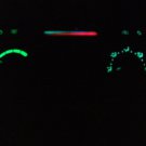 Light Bulbs Caravan Voyager HEATER Climate Control 01 02 03 04 05 Town Country