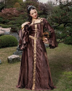 Renaissance Medieval Dress (small) Renaissance Medieval Dress (small)
