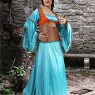Renaissance Medieval Dress (large)