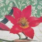 Poinsettia Print Blank Card