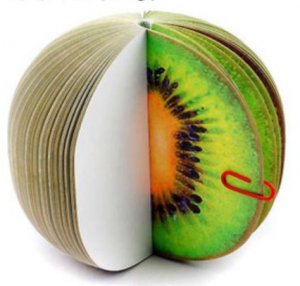 MP008 Kiwi Fruit
