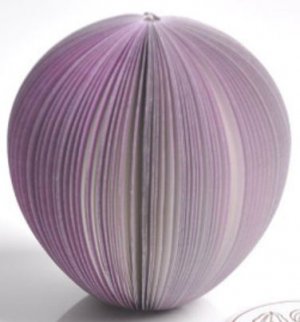 MP005 Onion
