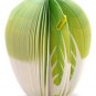 MP001 Chinese Cabbage