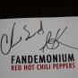 RED HOT CHILI PEPPERS Multi Signed Book AUTO Kiedis FLEA Klinghoffer PSA/DNA LOA
