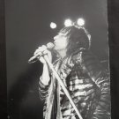 Ken Regan Photo of Rod Stewart Type I Original 9x12 Photograph PSA LOA