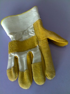 GLOVES