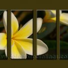 Modern Contemporary oil paintings on Canvas flower painting set10096