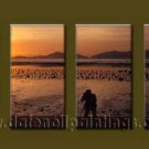 Modern Contemporary oil paintings on Canvas sunrise painting set10122