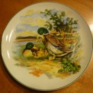VINTAGE PORCELAIN DECORATIVE PLATE VIBRANT PICTURE DUCKS JAPAN